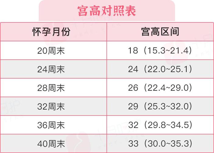 供卵受孕大概需要多少钱呢_供卵受孕需要多少钱呢？