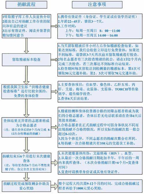 供精成功_供精成功:实现梦想的关键路径