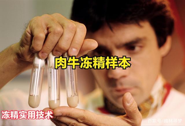 供精有后悔的吗【不要错过,供精有后悔的吗?】