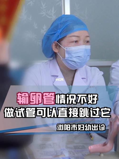 个人试管代怀信息-个人试管代怀：一站式解决生育难题