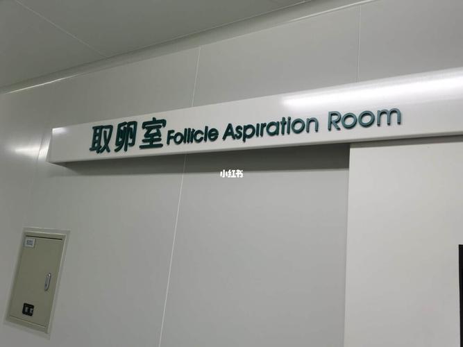 单身试管私立医院_单身试管私立医院：孤独求子的福音
