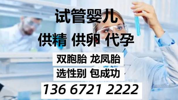 供卵试管代怀中心(供卵试管代怀中心:孕育新生命的温暖之家)