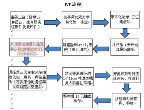 供卵试管怎么申请_供卵试管申请流程详解