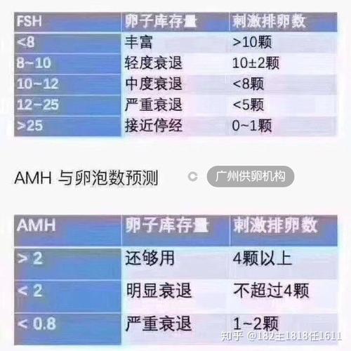 俄罗斯供卵试管婴儿费用_俄罗斯供卵试管婴儿费用详解