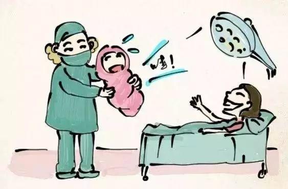代生孩子费用-代生孩子费用：一项重要的经济考量