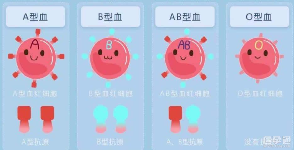 供卵的孩子跟母体有血缘关系吗【供卵孩子与母体是否有血缘关系?】