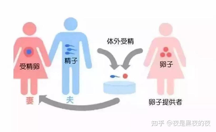 供卵对女性有什么伤害_供卵对女性有什么伤害?
