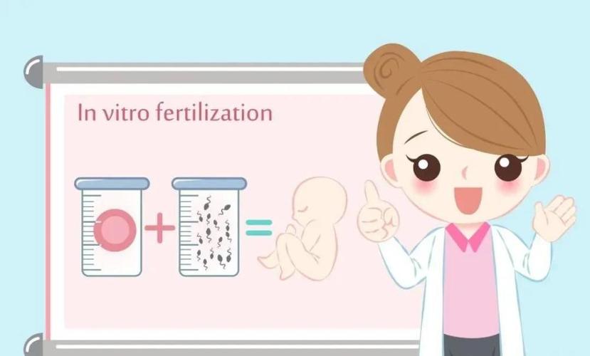 法律是怎么规定试管代怀的【试管代怀的法律规定及实施情况】