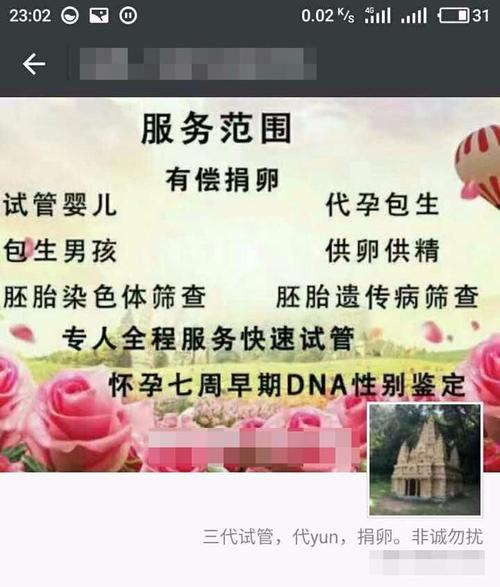 代生男孩需要多少费用_代生男孩费用查询