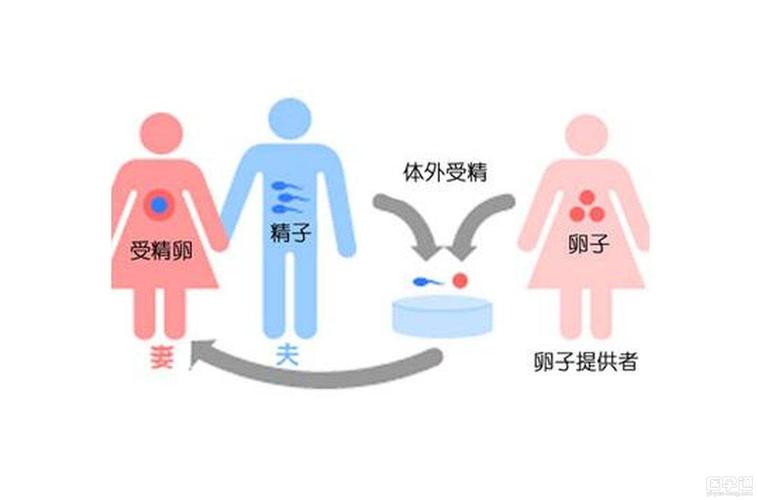 供精供卵生下孩子(供精供卵,生下新生命)