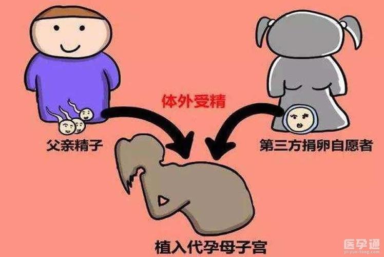 供卵是违法的吗(供卵合法化:是违法的吗?)