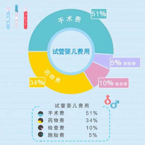 供卵试管代怀可靠吗-供卵试管代怀可靠吗?了解真相,选择最合适的方式